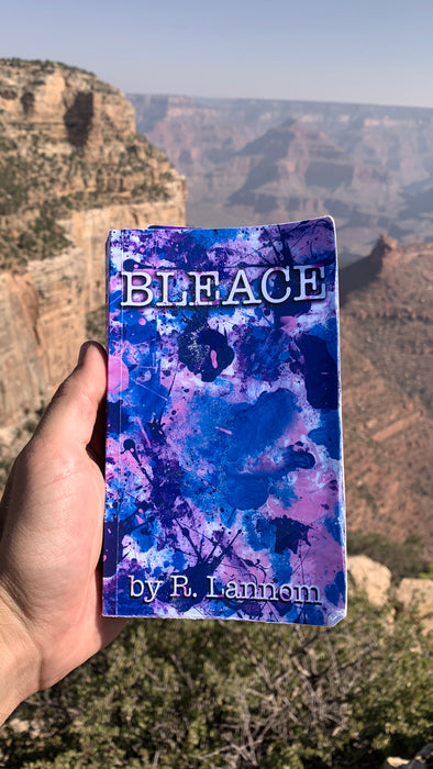 Photograph of a Bleace soft cover novel that has splattered pink, turquoise and purple paint on it with white text that says ‘Bleace by R. Lannom’ on the front cover that is in the foreground with the Grand Canyon, Arizona in the background.